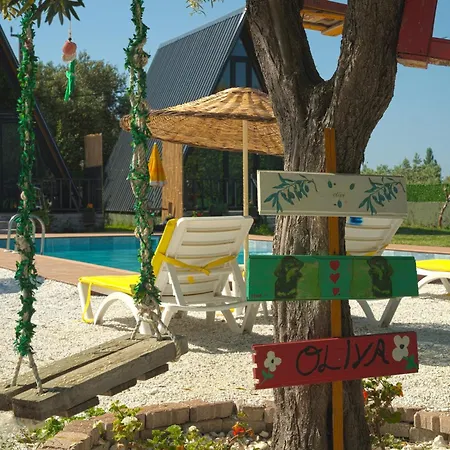 Oliva